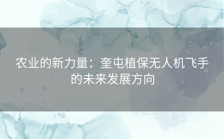 农业的新力量：奎屯植保无人机飞手的未来发展方向