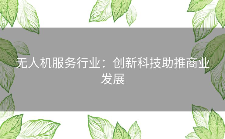 无人机服务行业:创新科技助推商业发展 无人机服务行业:创新科技助推商业发展