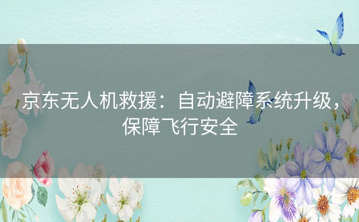 京东无人机救援:自动避障系统升级,保障飞行安全 京东无人机救援:自动避障系统升级,保障飞行安全