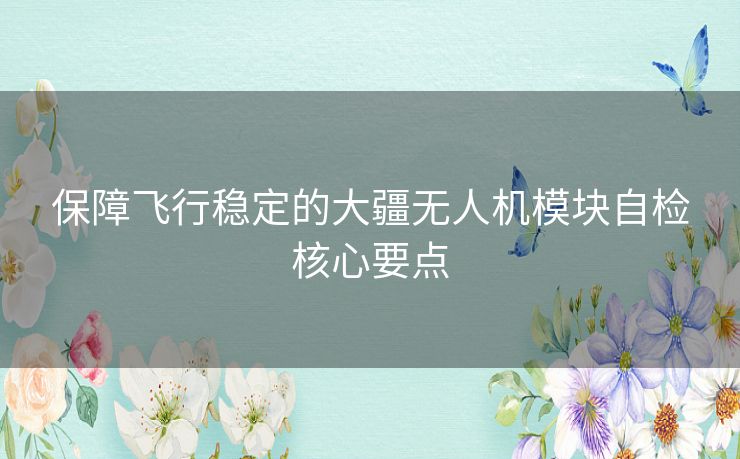 保障飞行稳定的大疆无人机模块自检核心要点