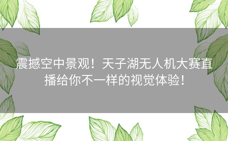 震撼空中景观!天子湖无人机大赛直播给你不一样的视觉体验! 震撼空中景观!天子湖无人机大赛直播给你不一样的视觉体验!