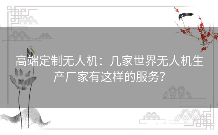 高端定制无人机:几家世界无人机生产厂家有这样的服务? 高端定制无人机:几家世界无人机生产厂家有这样的服务?