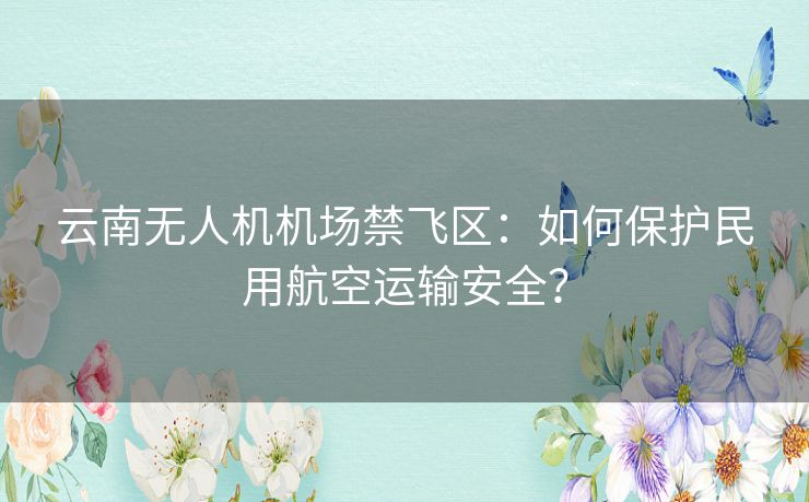 云南无人机机场禁飞区:如何保护民用航空运输安全? 云南无人机机场禁飞区:如何保护民用航空运输安全?