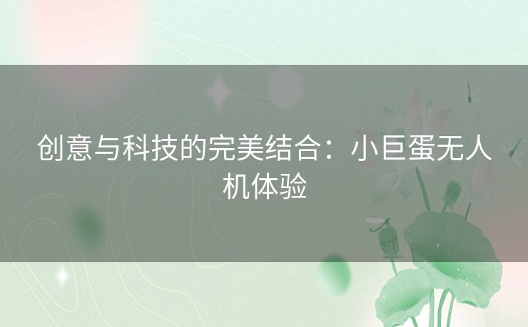 创意与科技的完美结合:小巨蛋无人机体验 创意与科技的完美结合:小巨蛋无人机体验