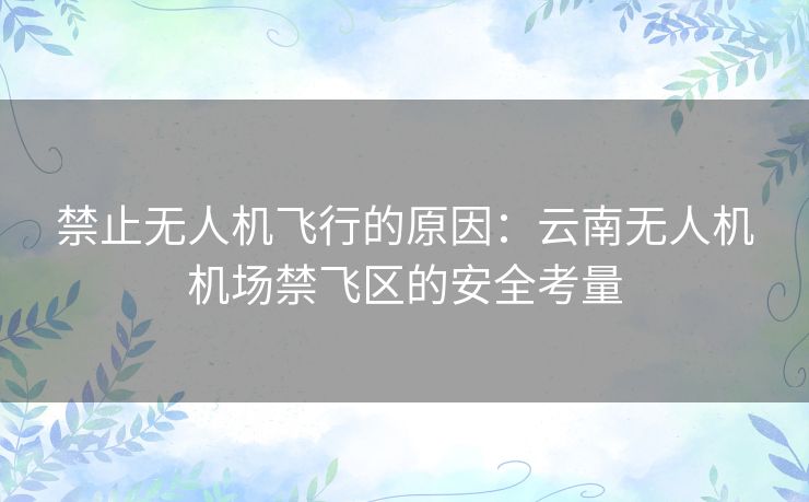 禁止无人机飞行的原因:云南无人机机场禁飞区的安全考量 禁止无人机飞行的原因:云南无人机机场禁飞区的安全考量