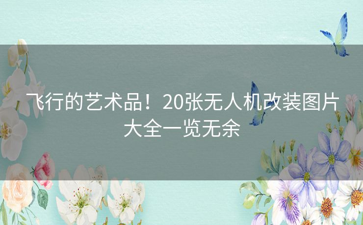 飞行的艺术品!20张无人机改装图片大全一览无余 飞行的艺术品!20张无人机改装图片大全一览无余