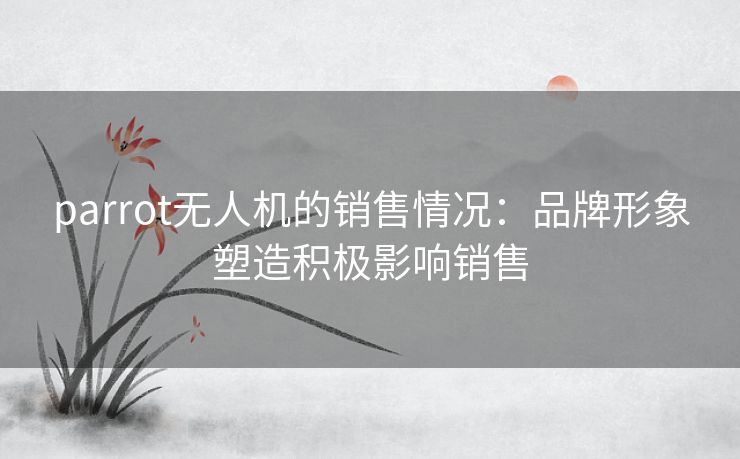 parrot无人机的销售情况:品牌形象塑造积极影响销售 parrot无人机的销售情况:品牌形象塑造积极影响销售