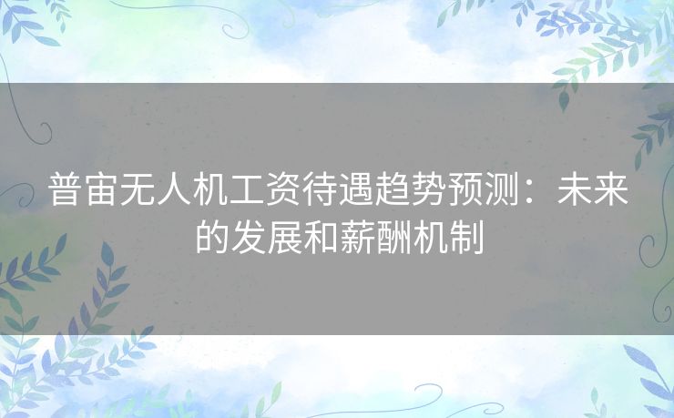 普宙无人机工资待遇趋势预测:未来的发展和薪酬机制 普宙无人机工资待遇趋势预测:未来的发展和薪酬机制