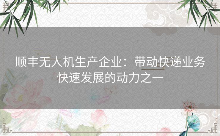 顺丰无人机生产企业：带动快递业务快速发展的动力之一