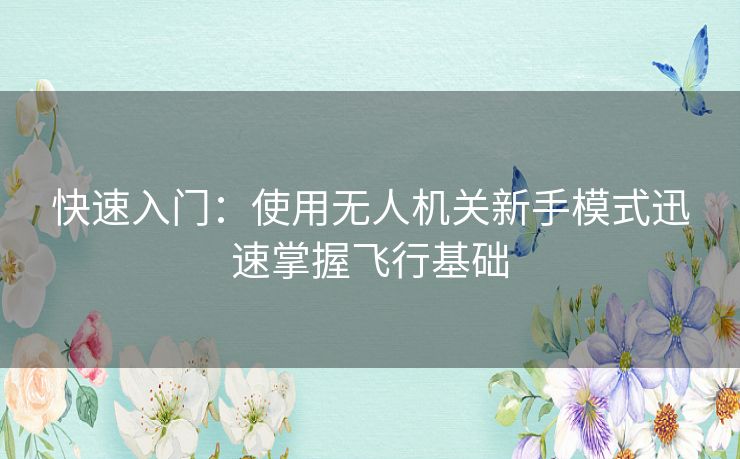 快速入门：使用无人机关新手模式迅速掌握飞行基础