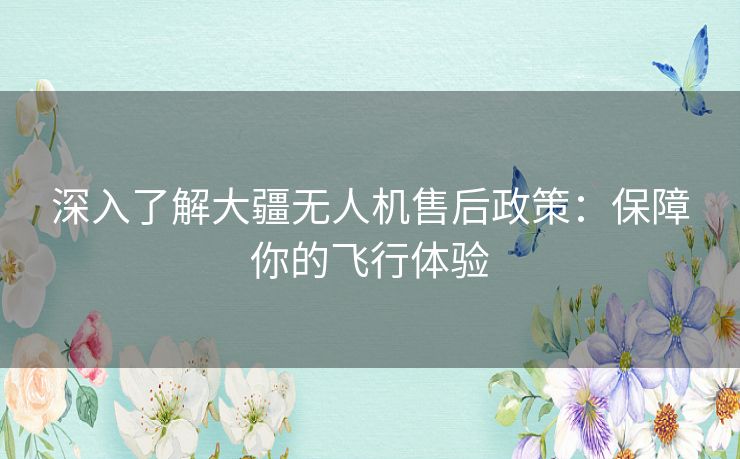 深入了解大疆无人机售后政策：保障你的飞行体验
