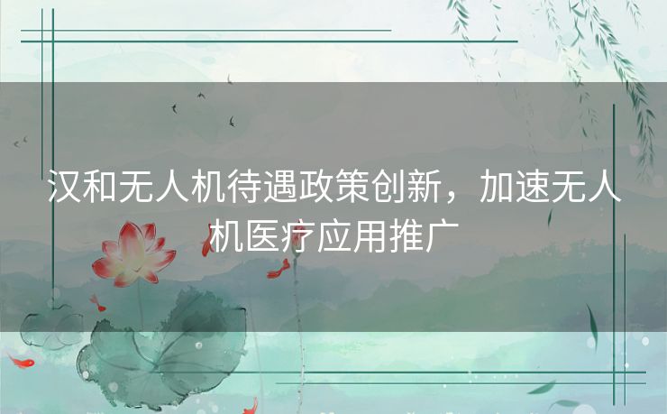 汉和无人机待遇政策创新,加速无人机医疗应用推广 汉和无人机待遇政策创新,加速无人机医疗应用推广