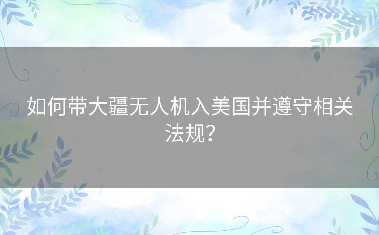 如何带大疆无人机入美国并遵守相关法规？