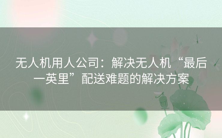 无人机用人公司:解决无人机“最后一英里”配送难题的解决方案 无人机用人公司:解决无人机“最后一英里”配送难题的解决方案