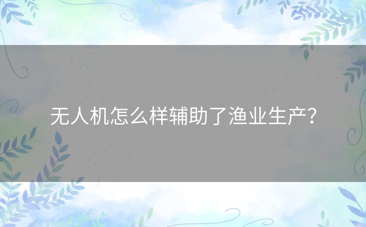 无人机怎么样辅助了渔业生产? 无人机怎么样辅助了渔业生产?