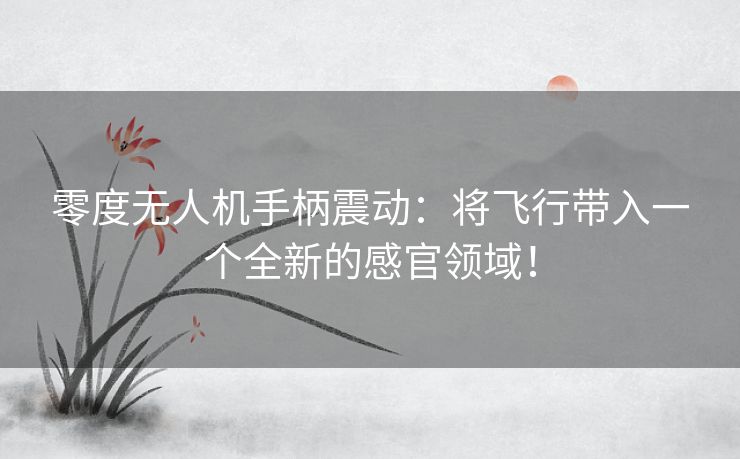 零度无人机手柄震动:将飞行带入一个全新的感官领域! 零度无人机手柄震动:将飞行带入一个全新的感官领域!