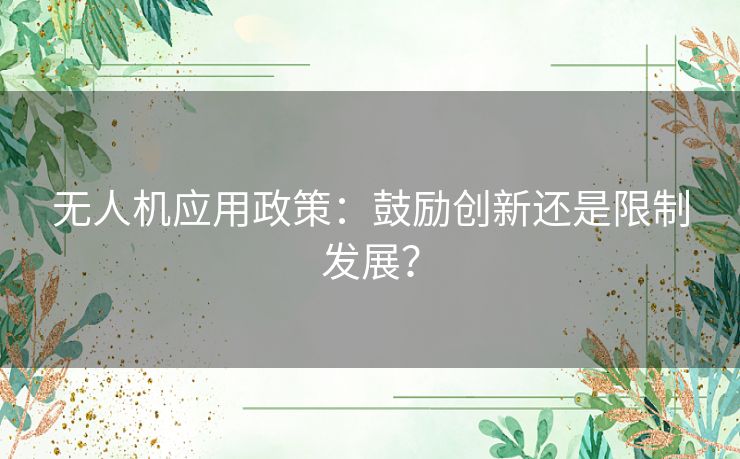 无人机应用政策:鼓励创新还是限制发展? 无人机应用政策:鼓励创新还是限制发展?