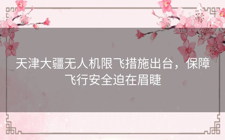 天津大疆无人机限飞措施出台,保障飞行安全迫在眉睫 天津大疆无人机限飞措施出台,保障飞行安全迫在眉睫