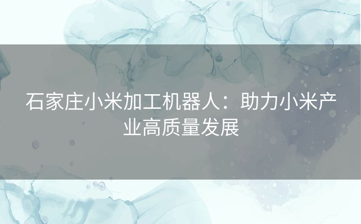 石家庄小米加工机器人:助力小米产业高质量发展 石家庄小米加工机器人:助力小米产业高质量发展