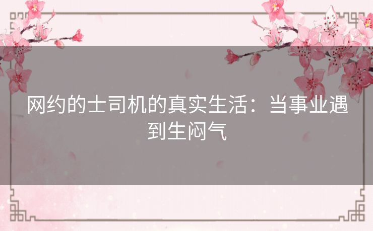 网约的士司机的真实生活:当事业遇到生闷气 网约的士司机的真实生活:当事业遇到生闷气