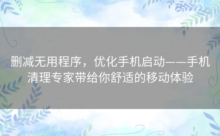 删减无用程序,优化手机启动——手机清理专家带给你舒适的移动体验 删减无用程序,优化手机启动——手机清理专家带给你舒适的移动体验
