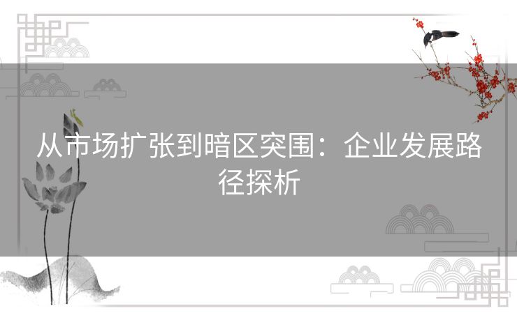 从市场扩张到暗区突围:企业发展路径探析 从市场扩张到暗区突围:企业发展路径探析