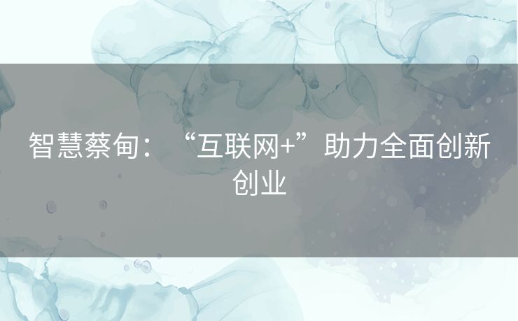 智慧蔡甸:“互联网+”助力全面创新创业 智慧蔡甸:“互联网+”助力全面创新创业