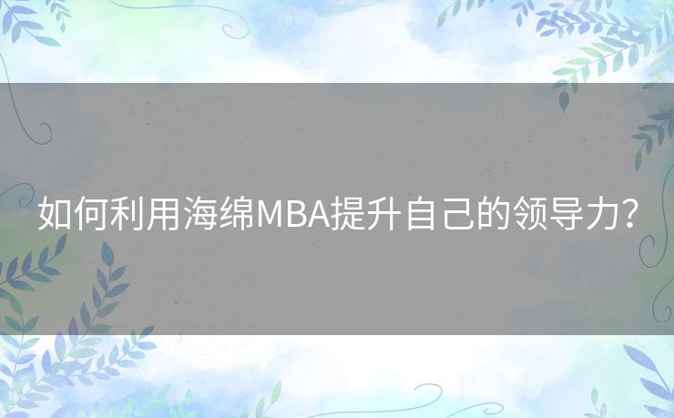 如何利用海绵MBA提升自己的领导力？