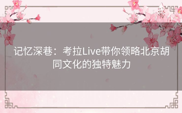 记忆深巷:考拉Live带你领略北京胡同文化的独特魅力 记忆深巷:考拉Live带你领略北京胡同文化的独特魅力