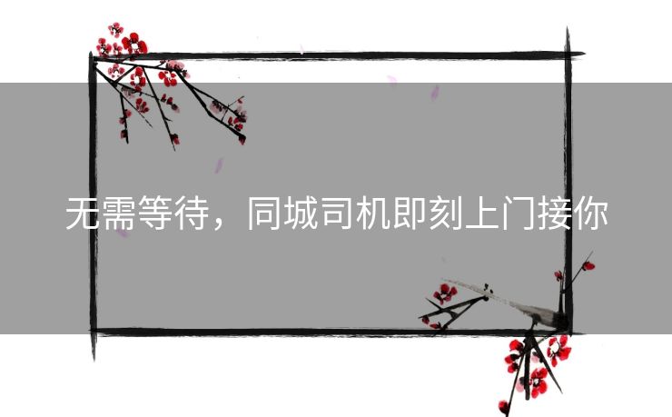 无需等待,同城司机即刻上门接你 无需等待,同城司机即刻上门接你