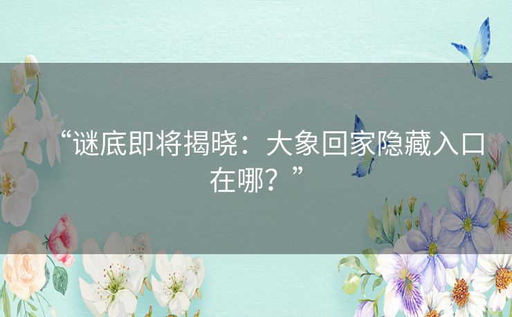 “谜底即将揭晓:大象回家隐藏入口在哪?” “谜底即将揭晓:大象回家隐藏入口在哪?”