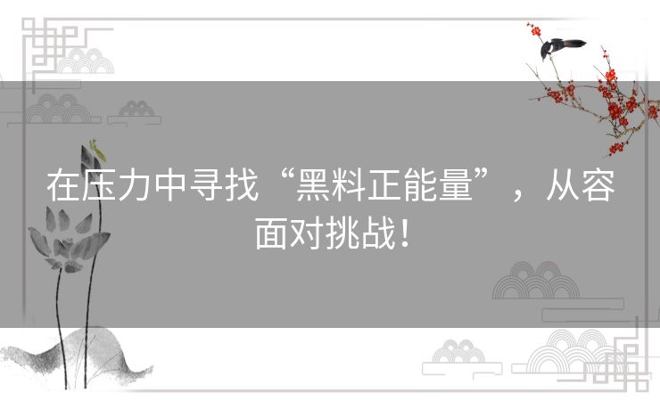 在压力中寻找“黑料正能量”,从容面对挑战! 在压力中寻找“黑料正能量”,从容面对挑战!