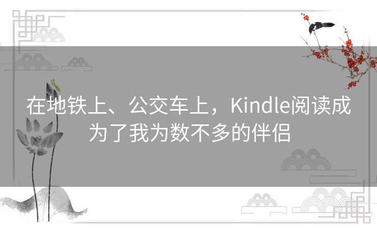 在地铁上、公交车上,Kindle阅读成为了我为数不多的伴侣 在地铁上、公交车上,Kindle阅读成为了我为数不多的伴侣