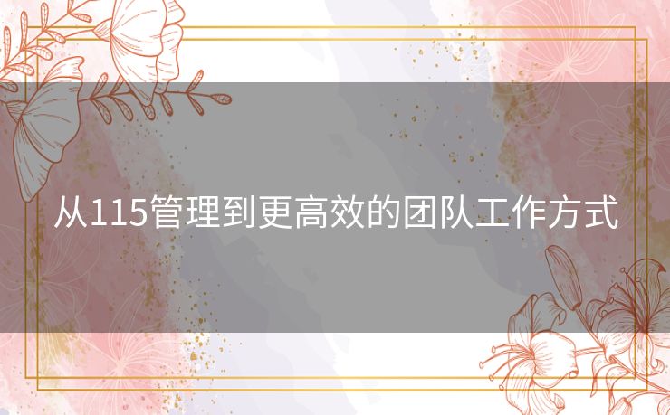 从115管理到更高效的团队工作方式 从115管理到更高效的团队工作方式