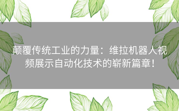 颠覆传统工业的力量:维拉机器人视频展示自动化技术的崭新篇章! 颠覆传统工业的力量:维拉机器人视频展示自动化技术的崭新篇章!
