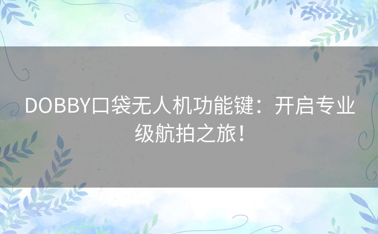 DOBBY口袋无人机功能键:开启专业级航拍之旅! DOBBY口袋无人机功能键:开启专业级航拍之旅!