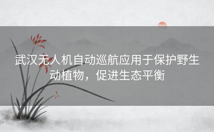 武汉无人机自动巡航应用于保护野生动植物,促进生态平衡 武汉无人机自动巡航应用于保护野生动植物,促进生态平衡