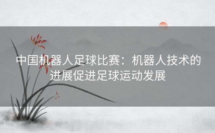 中国机器人足球比赛:机器人技术的进展促进足球运动发展 中国机器人足球比赛:机器人技术的进展促进足球运动发展