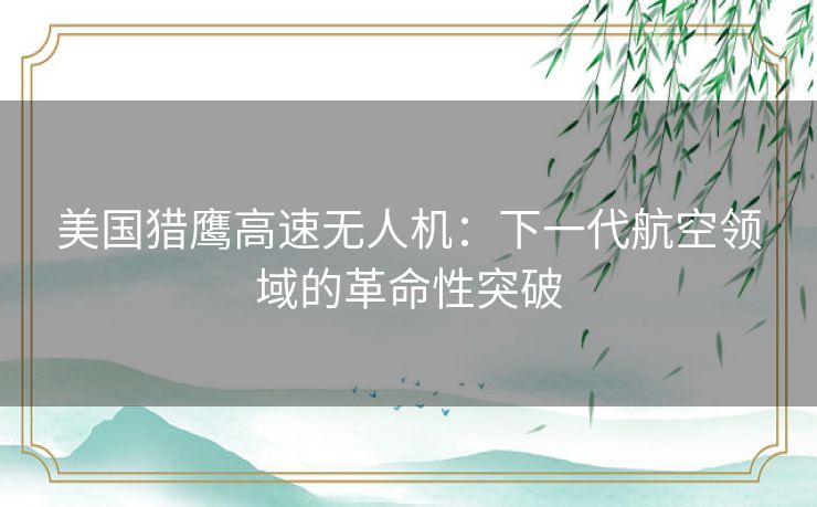 美国猎鹰高速无人机:下一代航空领域的革命性突破 美国猎鹰高速无人机:下一代航空领域的革命性突破