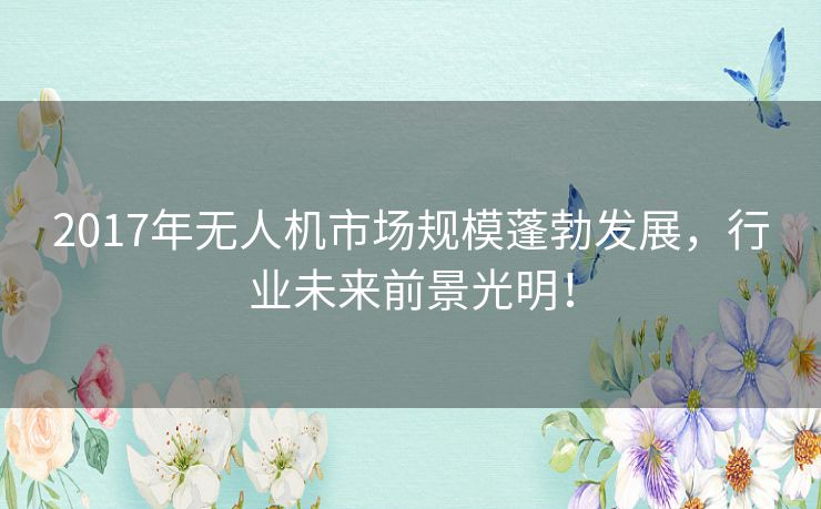 2017年无人机市场规模蓬勃发展,行业未来前景光明! 2017年无人机市场规模蓬勃发展,行业未来前景光明!