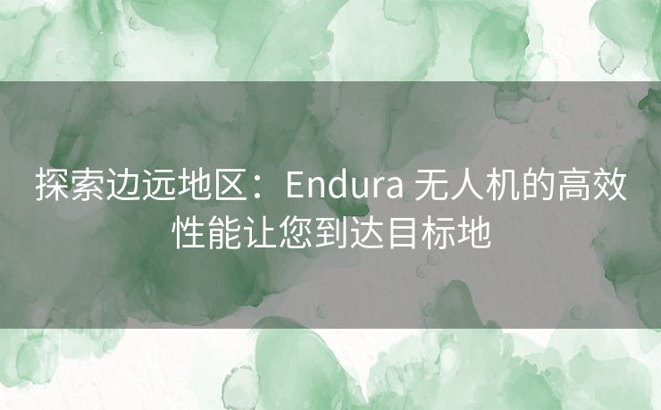 探索边远地区:Endura 无人机的高效性能让您到达目标地 探索边远地区:Endura 无人机的高效性能让您到达目标地