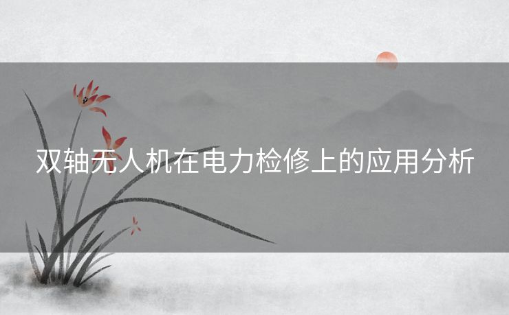 双轴无人机在电力检修上的应用分析 双轴无人机在电力检修上的应用分析