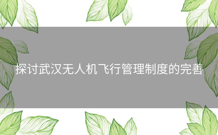 探讨武汉无人机飞行管理制度的完善 探讨武汉无人机飞行管理制度的完善