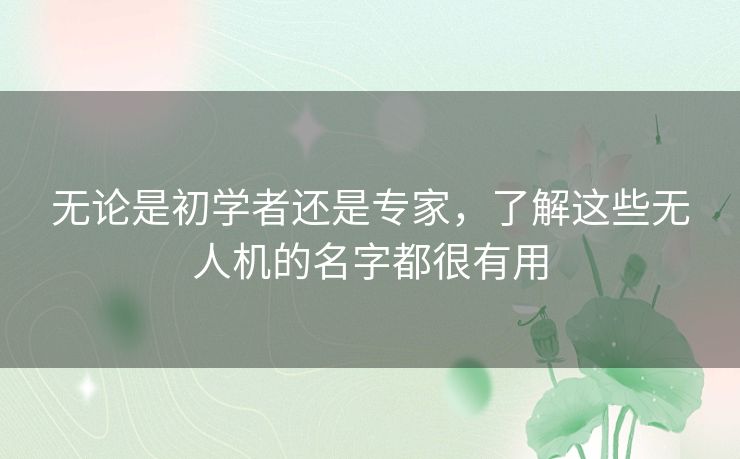 无论是初学者还是专家,了解这些无人机的名字都很有用 无论是初学者还是专家,了解这些无人机的名字都很有用
