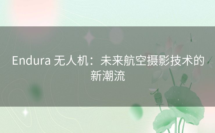 Endura 无人机:未来航空摄影技术的新潮流 Endura 无人机:未来航空摄影技术的新潮流