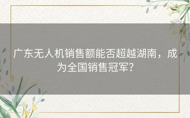 广东无人机销售额能否超越湖南,成为全国销售冠军? 广东无人机销售额能否超越湖南,成为全国销售冠军?