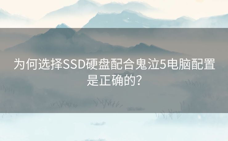为何选择SSD硬盘配合鬼泣5电脑配置是正确的? 为何选择SSD硬盘配合鬼泣5电脑配置是正确的?