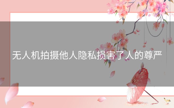 无人机拍摄他人隐私损害了人的尊严