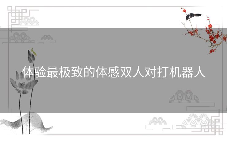 体验最极致的体感双人对打机器人 体验最极致的体感双人对打机器人