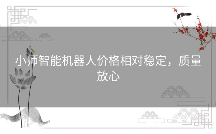 小师智能机器人价格相对稳定，质量放心